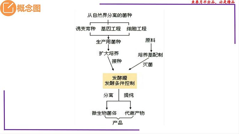 （新人教版）新高考生物一轮复习精讲课件75 传统发酵技术的应用、发酵工程及其应用（含答案）第3页