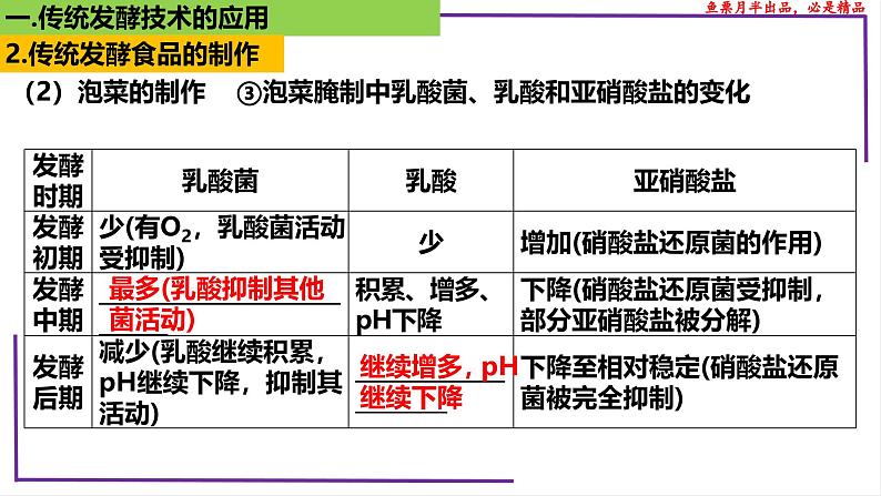 （新人教版）新高考生物一轮复习精讲课件75 传统发酵技术的应用、发酵工程及其应用（含答案）第7页