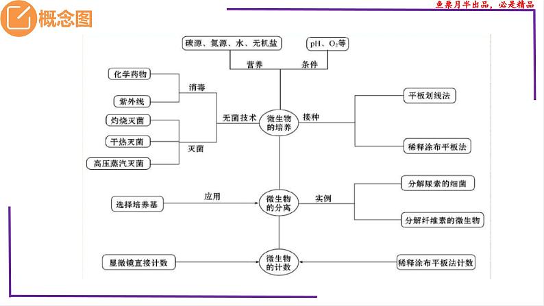 （新人教版）新高考生物一轮复习精讲课件76 微生物的培养技术及应用（含答案）03