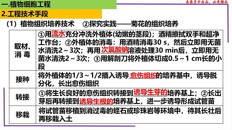 （新人教版）新高考生物一轮复习精讲课件77 植物细胞工程（含答案）第8页