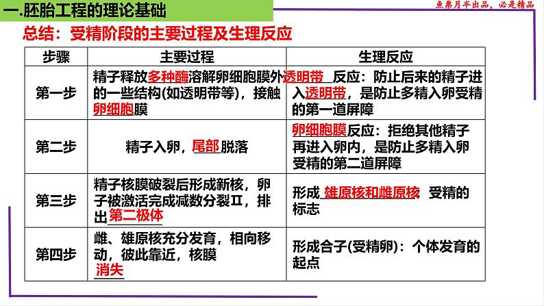 （新人教版）新高考生物一轮复习精讲课件79 胚胎工程（含答案）第6页