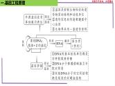 （新人教版）新高考生物一轮复习精讲课件80 基因工程的基本操作程序（含答案）