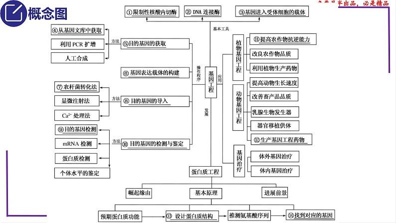 （新人教版）新高考生物一轮复习精讲课件81 基因工程应用和蛋白质工程（含答案）第3页