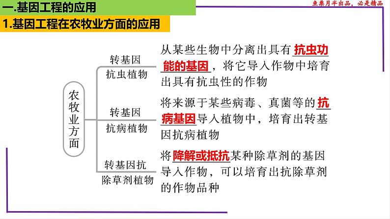 （新人教版）新高考生物一轮复习精讲课件81 基因工程应用和蛋白质工程（含答案）第5页