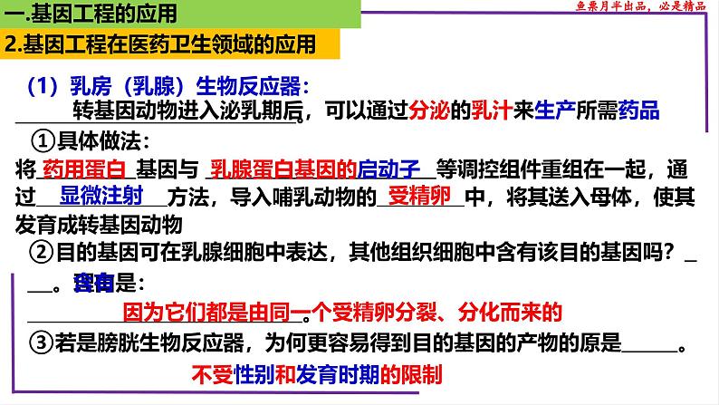 （新人教版）新高考生物一轮复习精讲课件81 基因工程应用和蛋白质工程（含答案）第8页