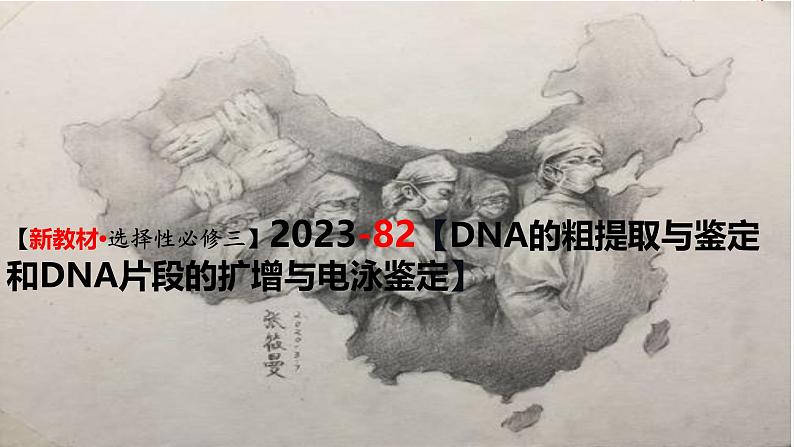 （新人教版）新高考生物一轮复习精讲课件82 DNA的粗提取与DNA片段的扩增和电泳鉴定（含答案）第1页