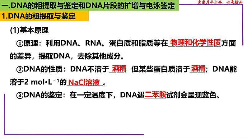 （新人教版）新高考生物一轮复习精讲课件82 DNA的粗提取与DNA片段的扩增和电泳鉴定（含答案）第4页