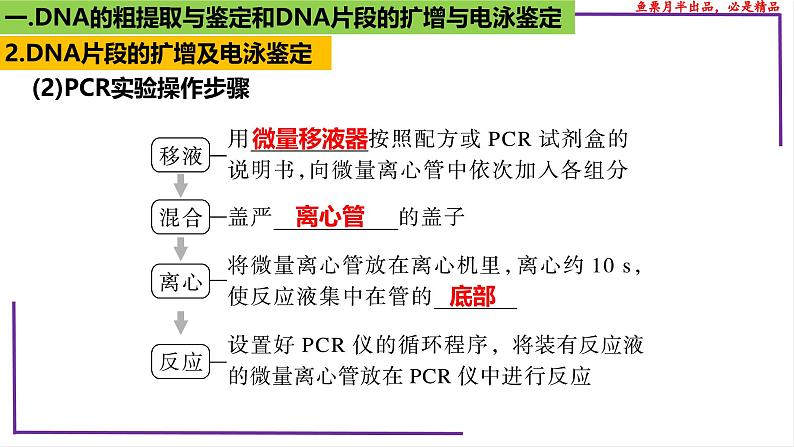 （新人教版）新高考生物一轮复习精讲课件82 DNA的粗提取与DNA片段的扩增和电泳鉴定（含答案）第7页