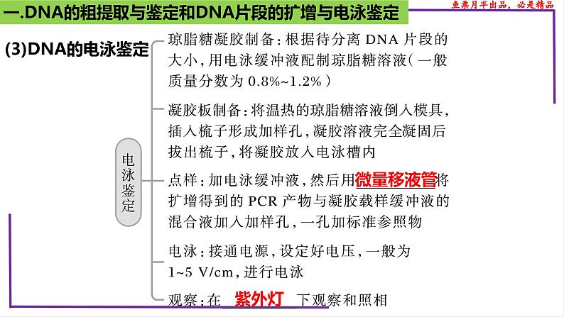 （新人教版）新高考生物一轮复习精讲课件82 DNA的粗提取与DNA片段的扩增和电泳鉴定（含答案）第8页