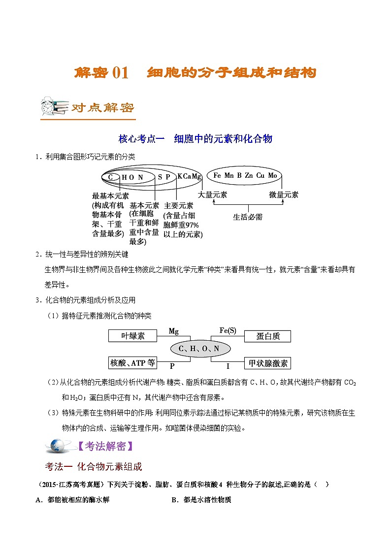 新高考生物二轮复习讲义+分层训练解密01 细胞的分子组成和结构（含解析）第1页