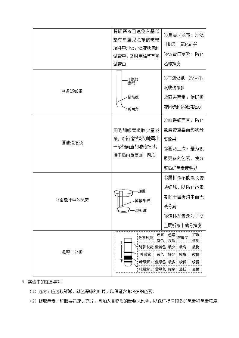 新高考生物二轮复习讲义+分层训练解密06 能量之源——光与光合作用（含解析）03