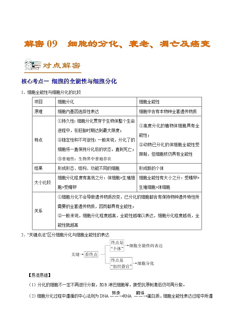 新高考生物二轮复习讲义+分层训练解密09 细胞的分化、衰老、凋亡及癌变（含解析）第1页