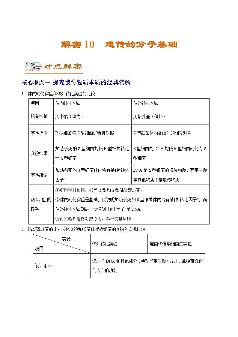新高考生物二轮复习讲义+分层训练解密10 遗传的分子基础（含解析）01