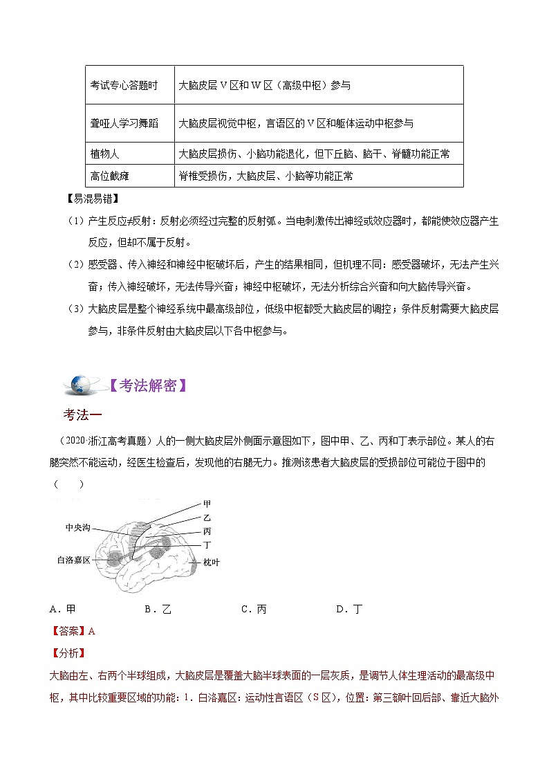 新高考生物二轮复习讲义+分层训练解密16 神经调节（含解析）第2页