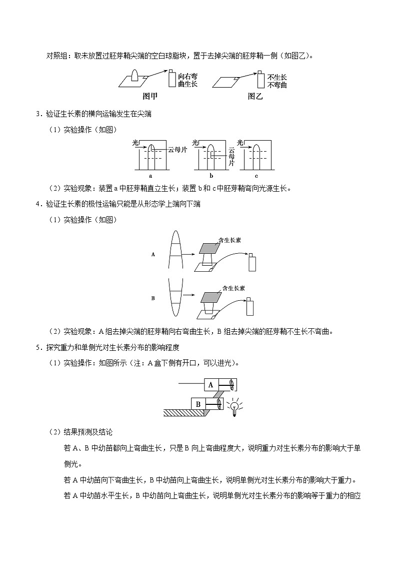 新高考生物二轮复习讲义+分层训练解密19 植物的激素调节（含解析）02