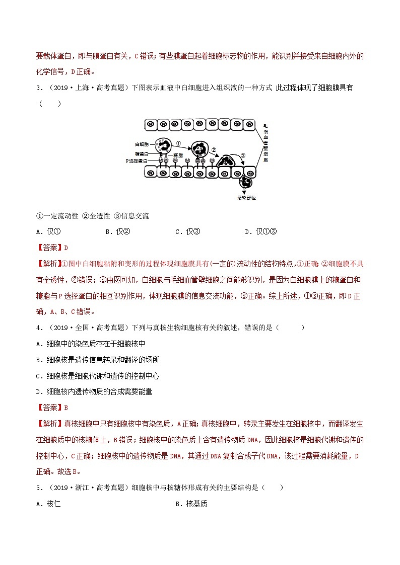 新高考生物一轮复习小题多练第04练 细胞膜和细胞核（解析版）第2页