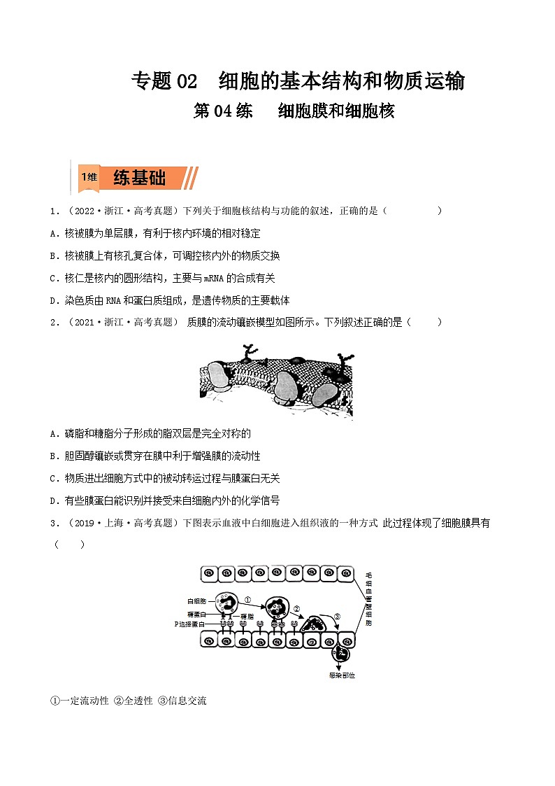 新高考生物一轮复习小题多练第04练 细胞膜和细胞核（原卷版）第1页