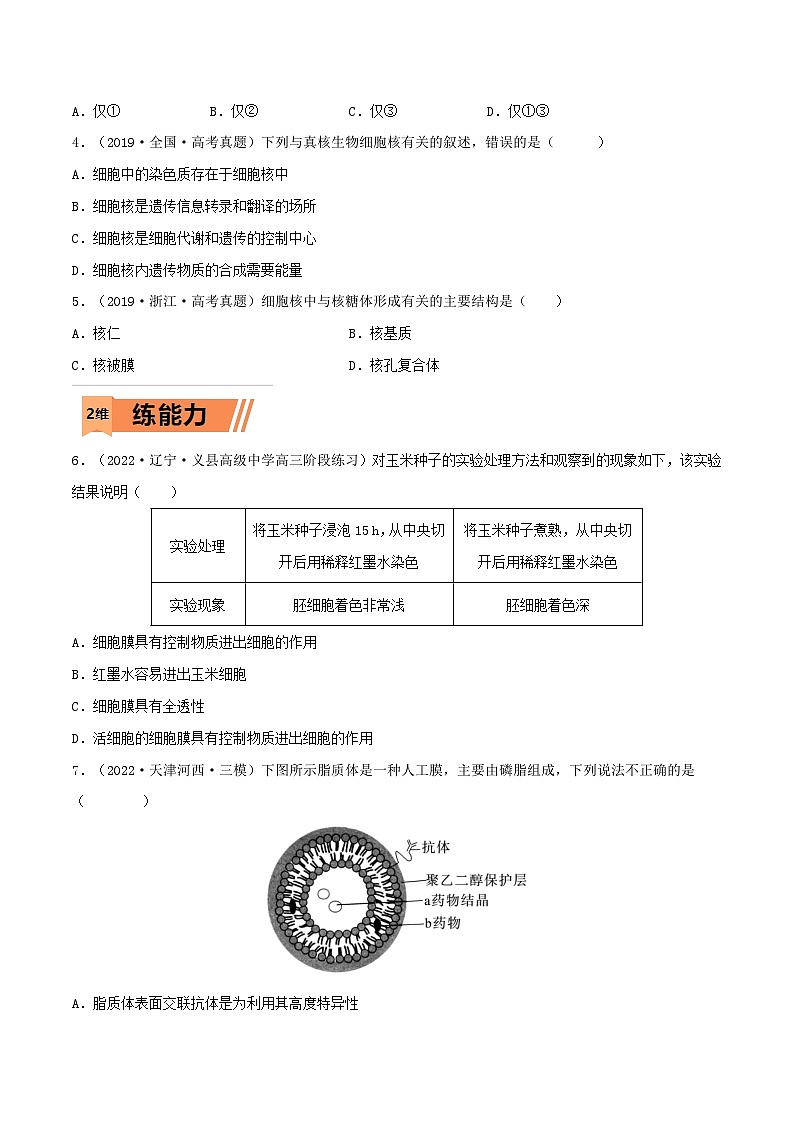新高考生物一轮复习小题多练第04练 细胞膜和细胞核（原卷版）第2页