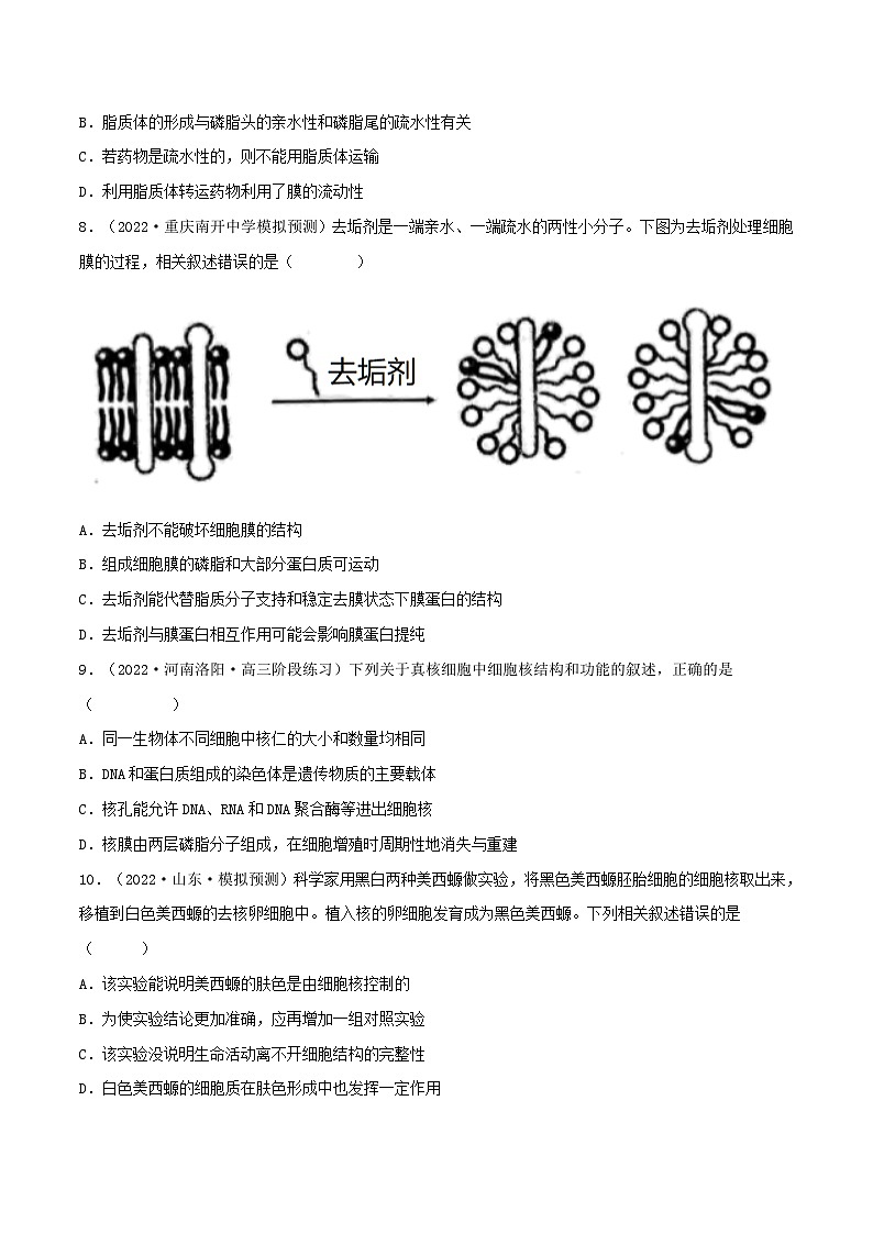 新高考生物一轮复习小题多练第04练 细胞膜和细胞核（原卷版）第3页