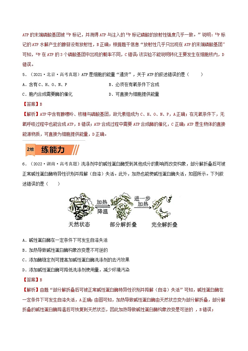 新高考生物一轮复习小题多练第07练 ATP和酶（2份，原卷版+解析版）03