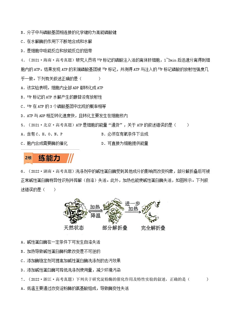 新高考生物一轮复习小题多练第07练 ATP和酶（2份，原卷版+解析版）02