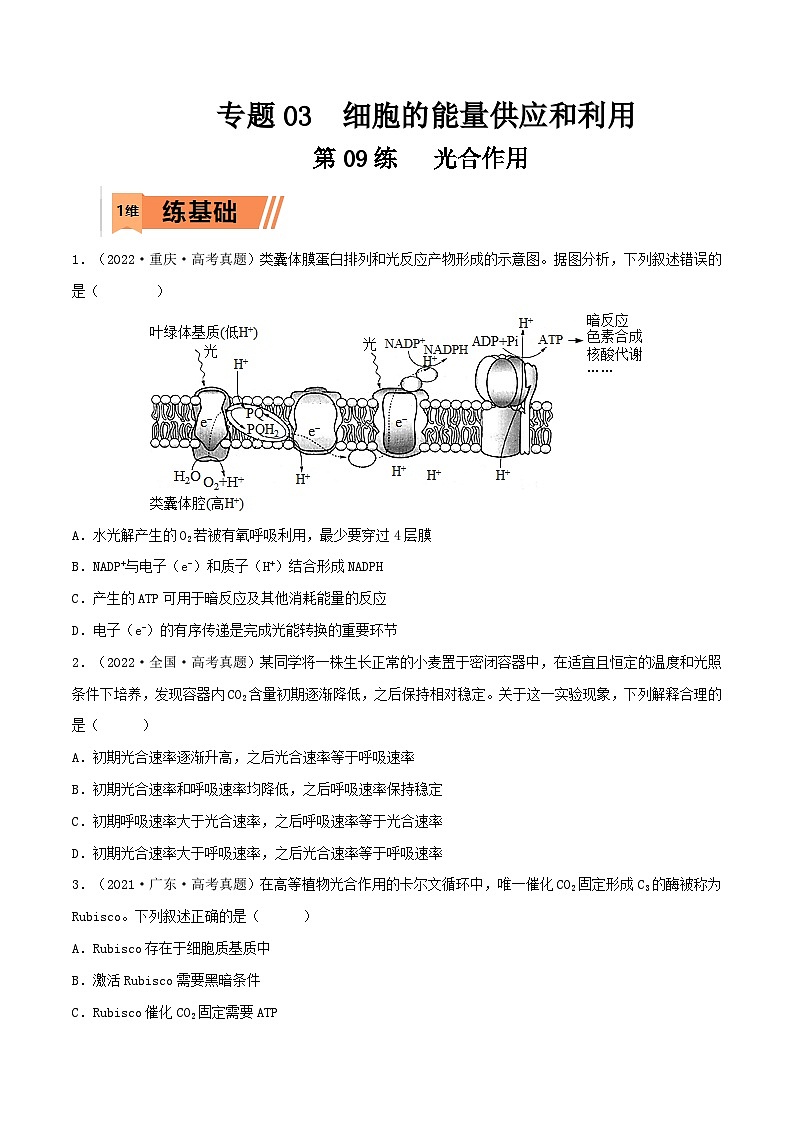新高考生物一轮复习小题多练第09练 光合作用（原卷版）第1页