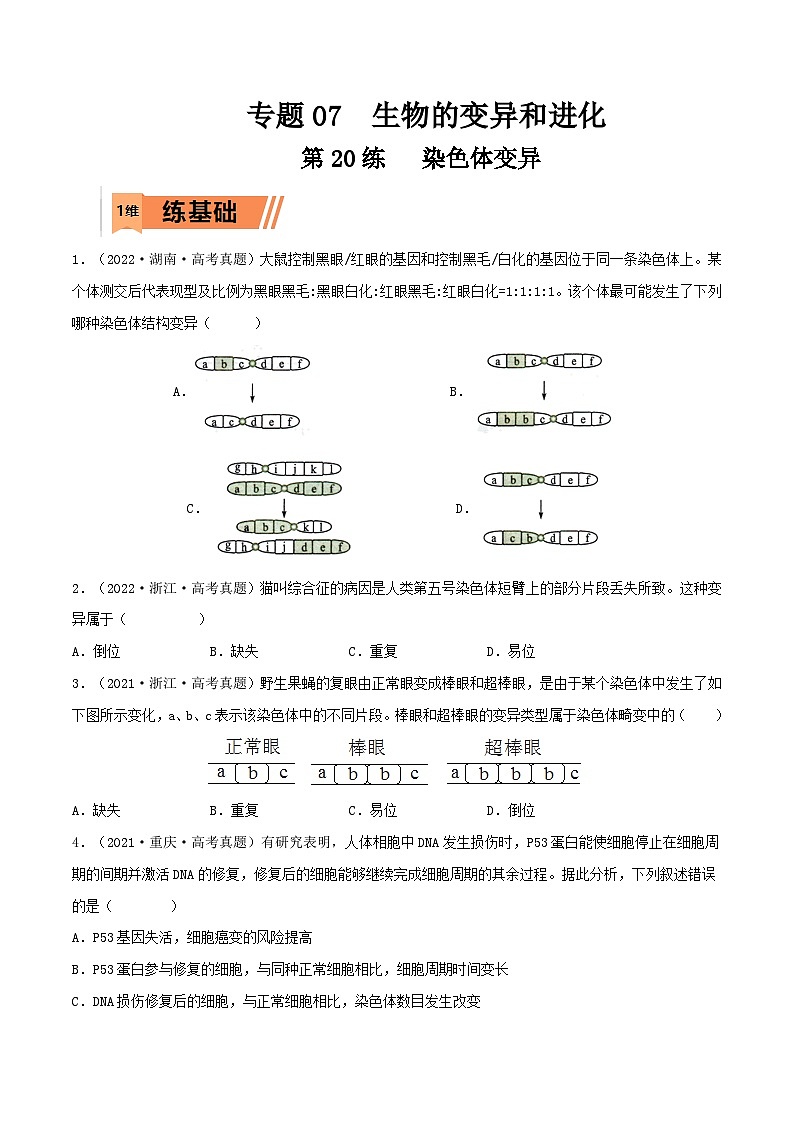 新高考生物一轮复习小题多练第20练 染色体变异（原卷版）第1页