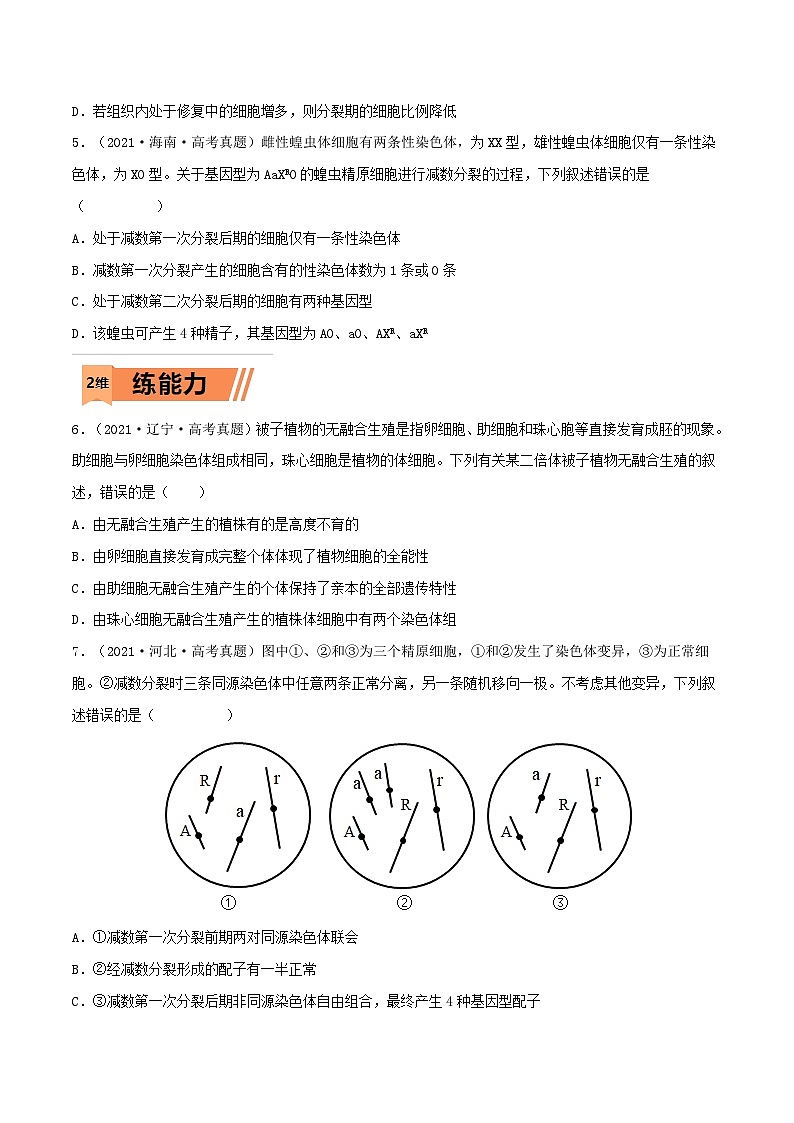 新高考生物一轮复习小题多练第20练 染色体变异（原卷版）第2页