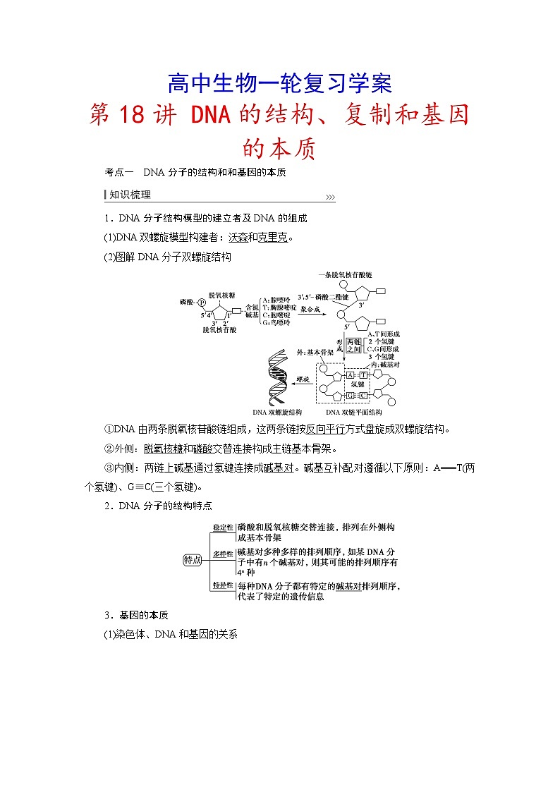 新高考生物一轮复习学案：第18讲　DNA的结构、复制和基因的本质第1页