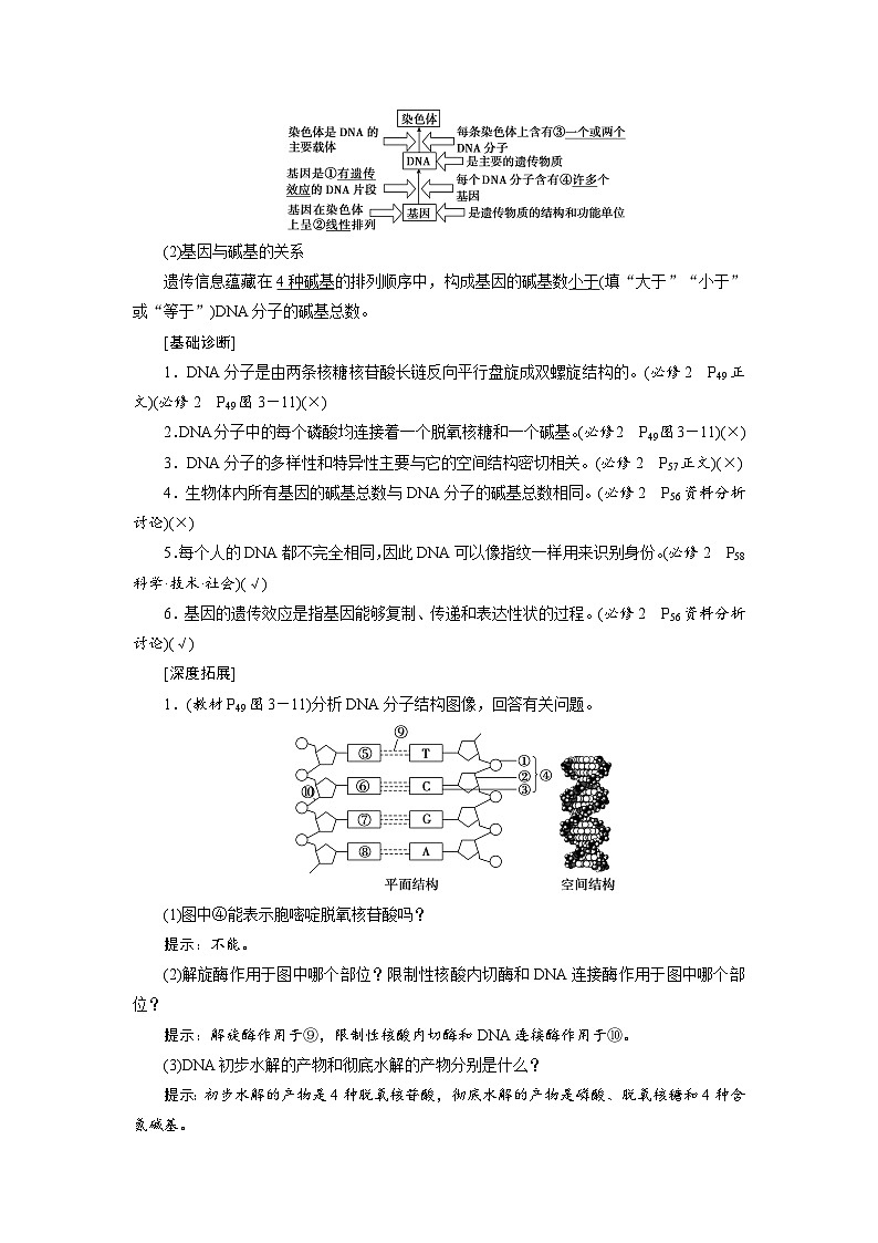 新高考生物一轮复习学案：第18讲　DNA的结构、复制和基因的本质第2页