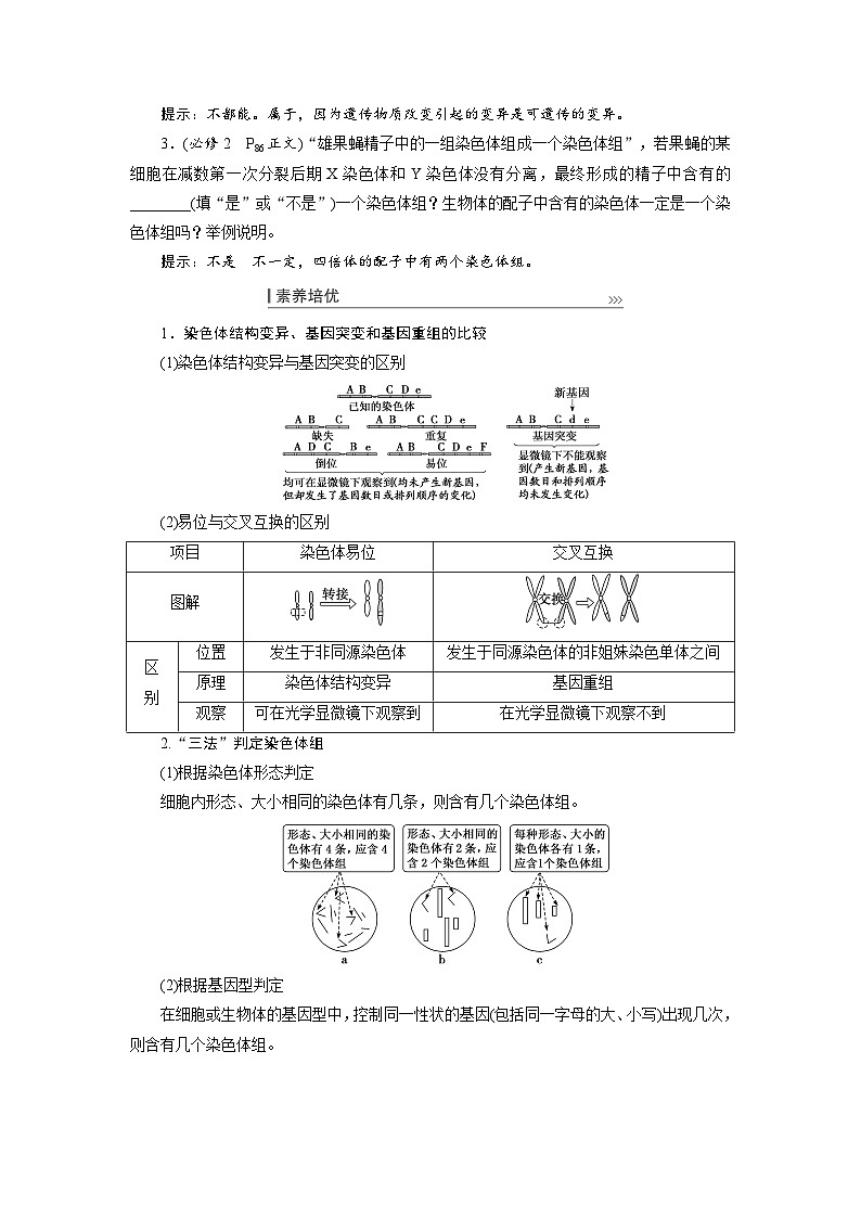 新高考生物一轮复习学案：第21讲　染色体变异与生物育种第3页