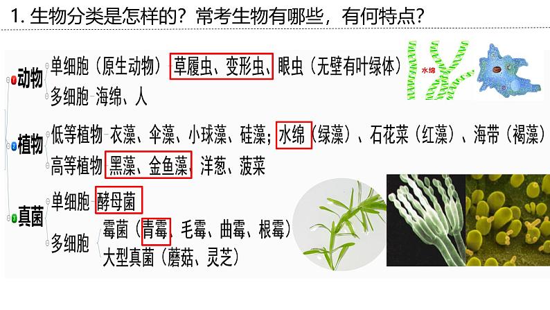 新高考生物二轮复习专题突破课件 02+细胞的结构基础（含答案）第6页