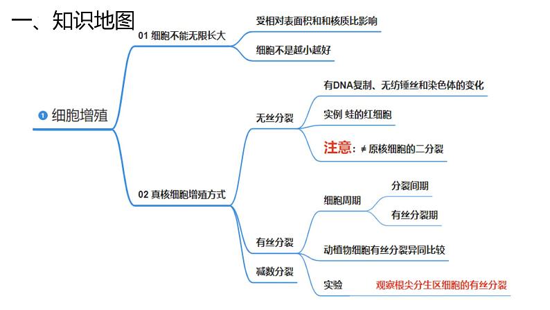 新高考生物二轮复习专题突破课件 04 细胞的生命历程（含答案）第4页