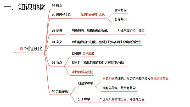 新高考生物二轮复习专题突破课件 04 细胞的生命历程（含答案）第5页