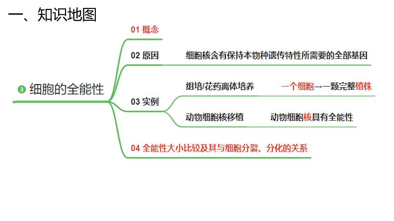 新高考生物二轮复习专题突破课件 04 细胞的生命历程（含答案）第6页