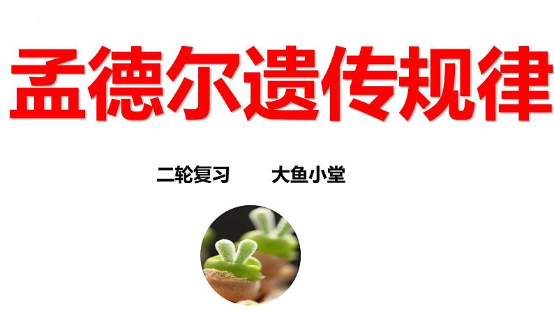 新高考生物二轮复习专题突破课件 05 孟德尔遗传规律（含答案）01