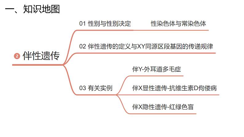 新高考生物二轮复习专题突破课件 06+伴性遗传与人类遗传病（含答案）05