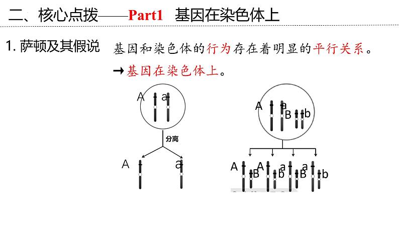 新高考生物二轮复习专题突破课件 06+伴性遗传与人类遗传病（含答案）07