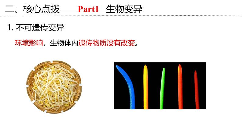 新高考生物二轮复习专题突破课件 08 生物的可遗传变异（含答案）第6页