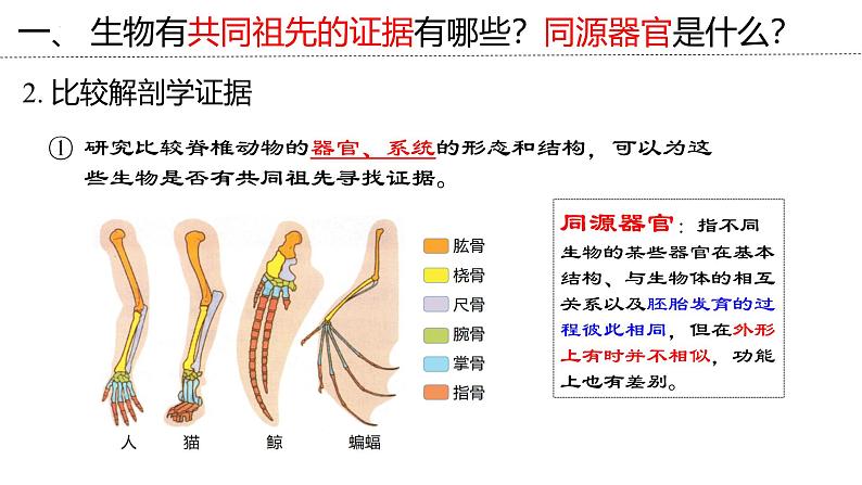 新高考生物二轮复习专题突破课件 09 生物进化（含答案）第7页