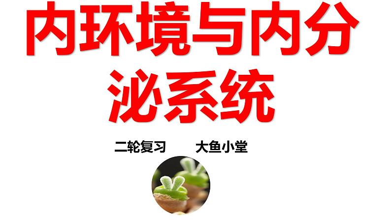 新高考生物二轮复习专题突破课件 10 内环境与稳态及内分泌系统（含答案）第1页