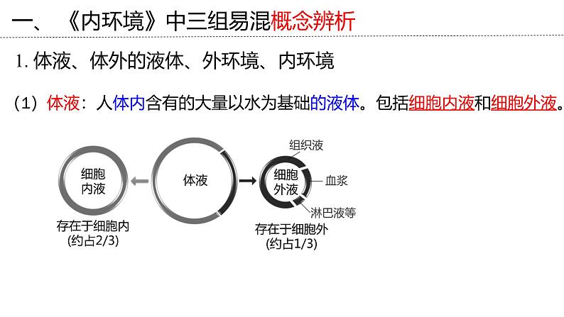 新高考生物二轮复习专题突破课件 10 内环境与稳态及内分泌系统（含答案）第8页