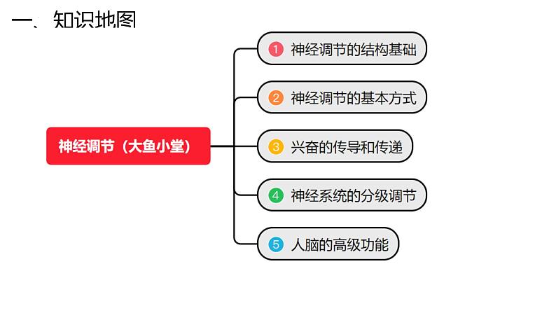 新高考生物二轮复习专题突破课件 11 神经调节（含答案）第3页