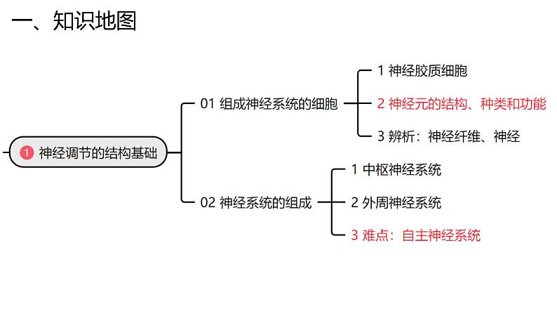 新高考生物二轮复习专题突破课件 11 神经调节（含答案）第4页