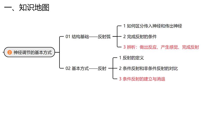 新高考生物二轮复习专题突破课件 11 神经调节（含答案）第5页