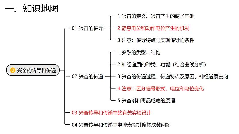 新高考生物二轮复习专题突破课件 11 神经调节（含答案）第6页