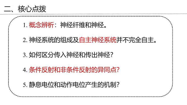 新高考生物二轮复习专题突破课件 11 神经调节（含答案）第8页