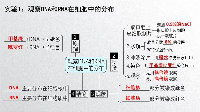 新高考生物二轮复习专题突破课件 课题1+教材基础实验（A）（含答案）第5页