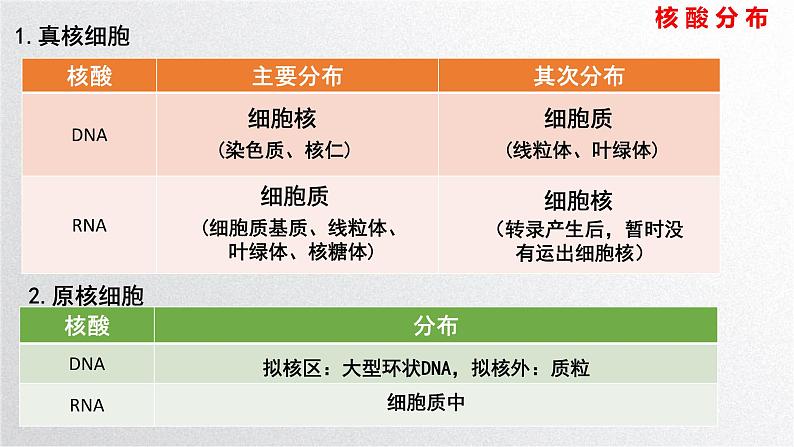 新高考生物二轮复习专题突破课件 课题1+教材基础实验（A）（含答案）第7页