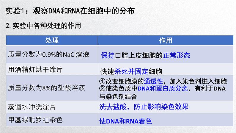 新高考生物二轮复习专题突破课件 课题1+教材基础实验（A）（含答案）第8页